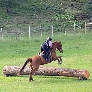 Meet your Posher, Kerry